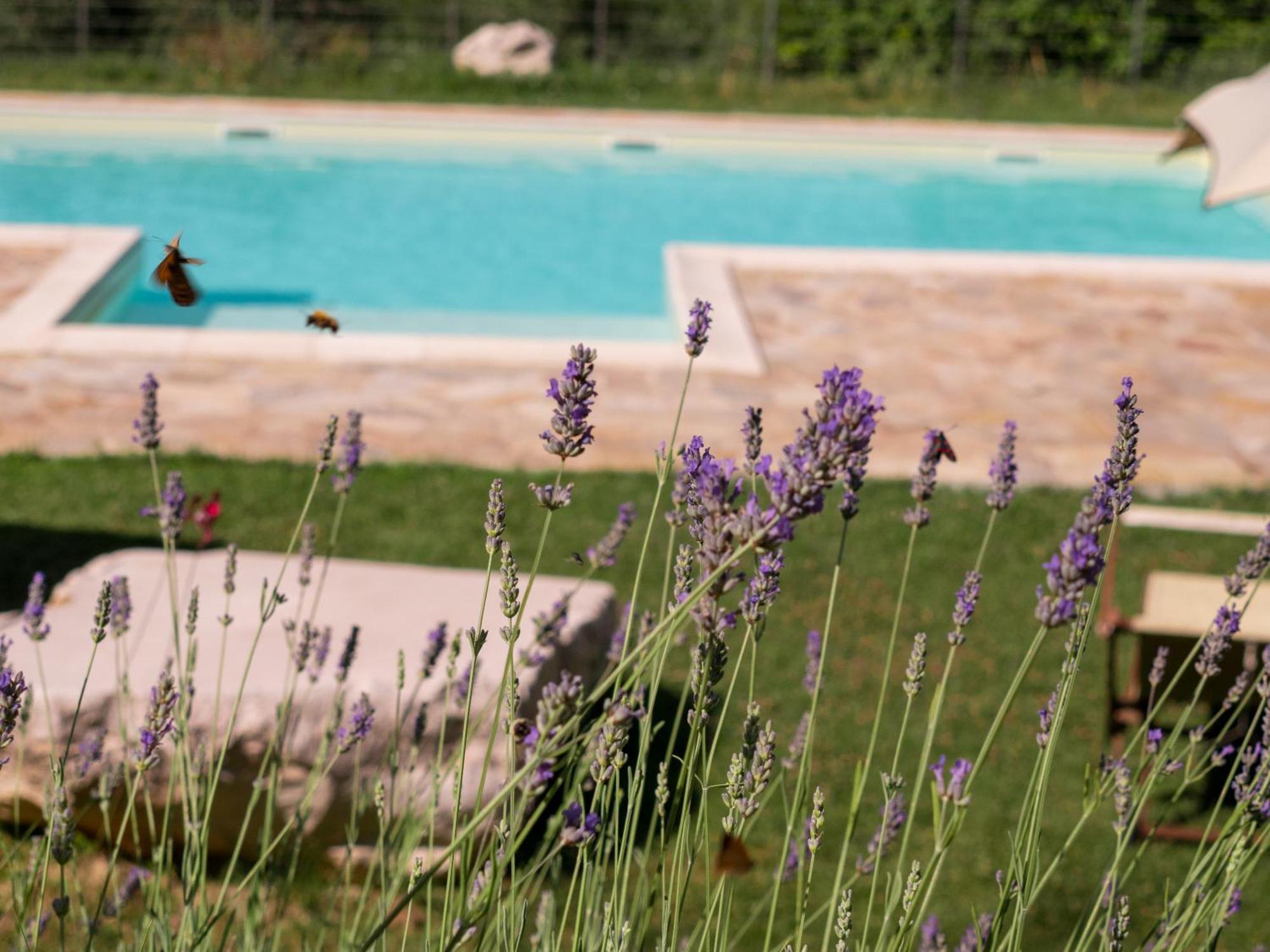 Lacelletta Country House Урбино Экстерьер фото